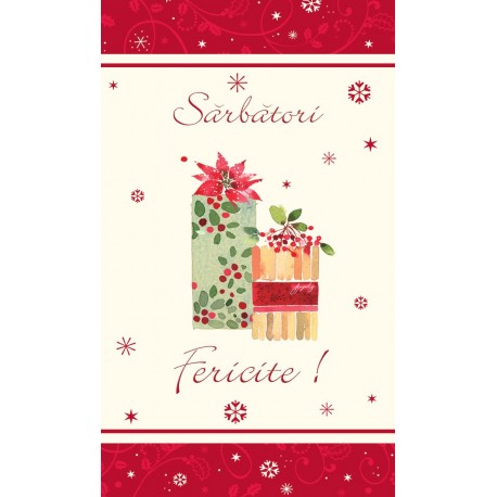 Pungi de iarna si sarbatori