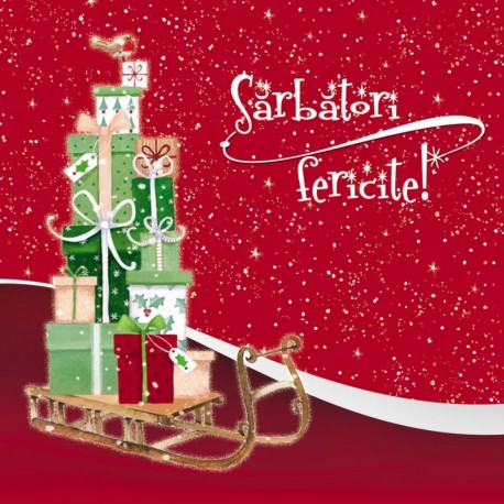 Pungi de iarna si sarbatori